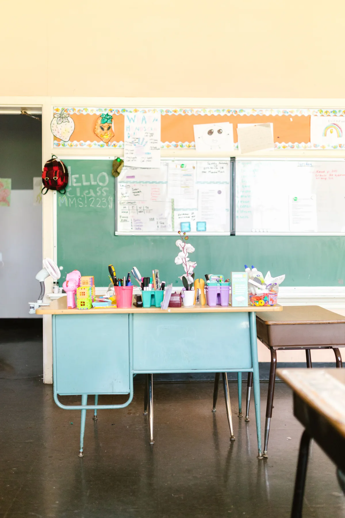 Classroom globe
